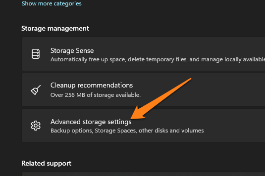 How to remove partition Windows 11 Advanced storage settings
