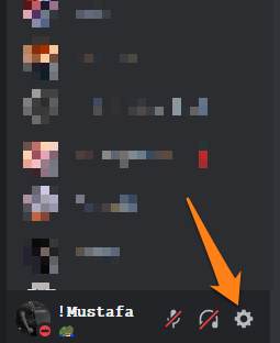 How to Share Netflix on Discord Without Black Screen Settings option