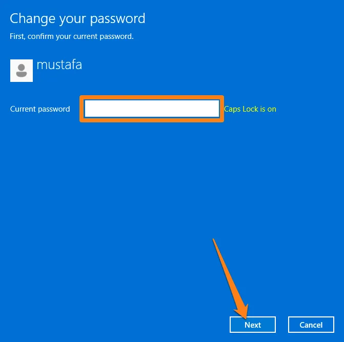 How To Remove Windows 11 Password Enter password and click Next How To Remove Windows 11 Password