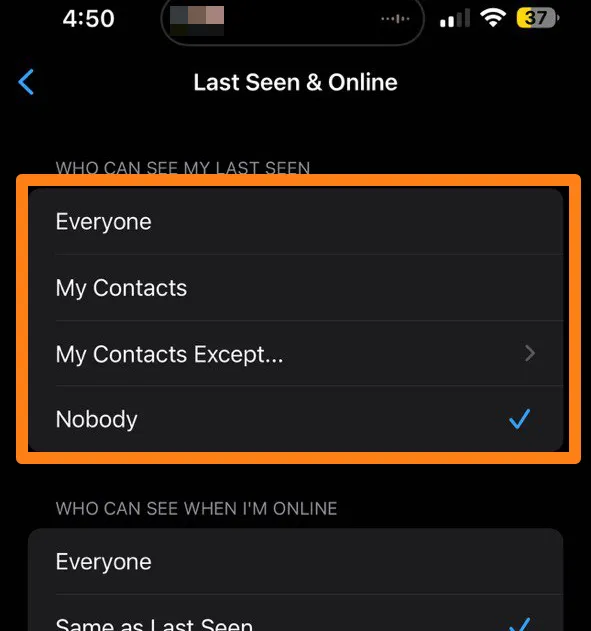 Hide the last Seen