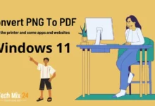 Featured image for the article How To Convert PNG to PDF on Windows 11