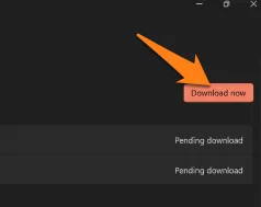 click Download Now