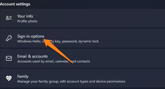 click on Sign-In Options
