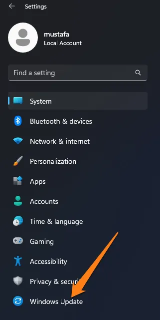 click on Windows Update